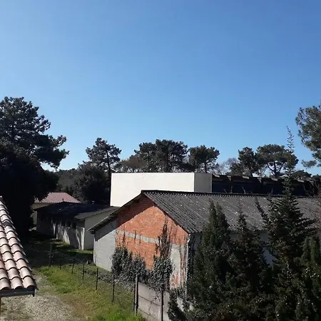 Grand Avec Jardin Centre Du Samedi Au Samedi Apartment Soulac-sur-Mer